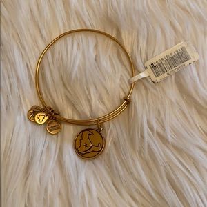 Alex and Ani Houston Texans football bracelet